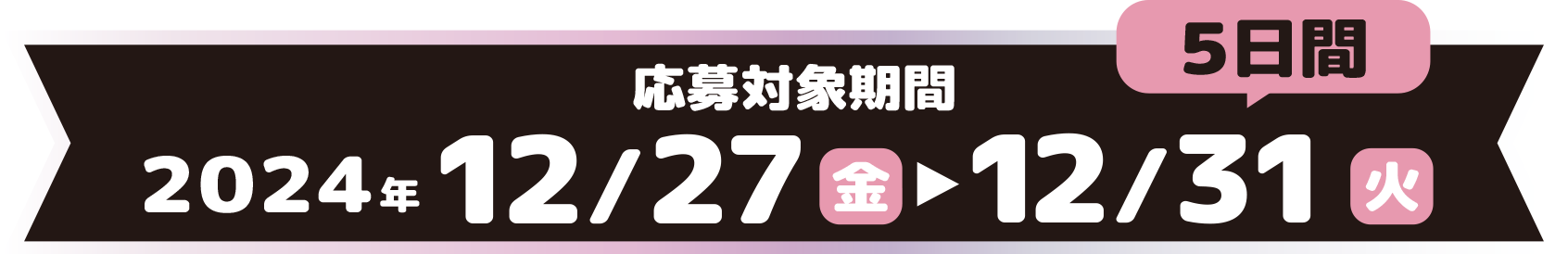 応募対象期間 5日間 2024年12/27（金）〜12/31（火）