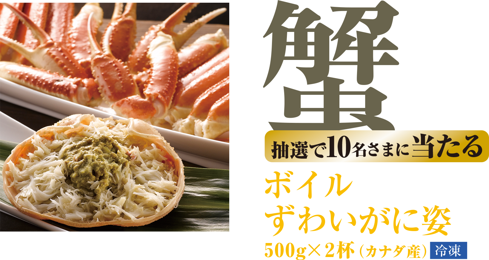 抽選で10名さまに当たる ボイルずわいがに姿 500g✕2杯（カナダ産）