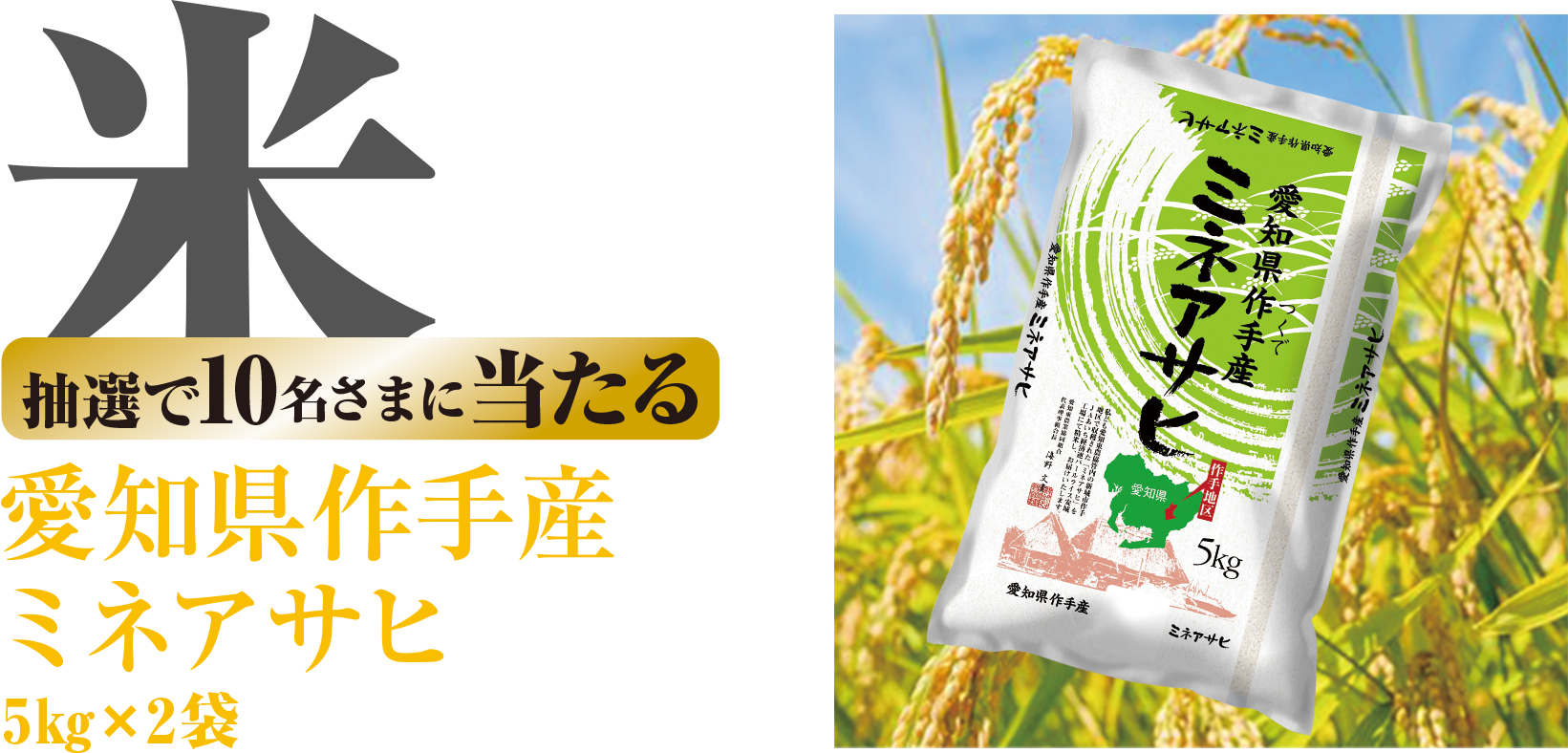 抽選で10名さまに当たる 愛知県作手產ミネアサヒ5kg✕2袋