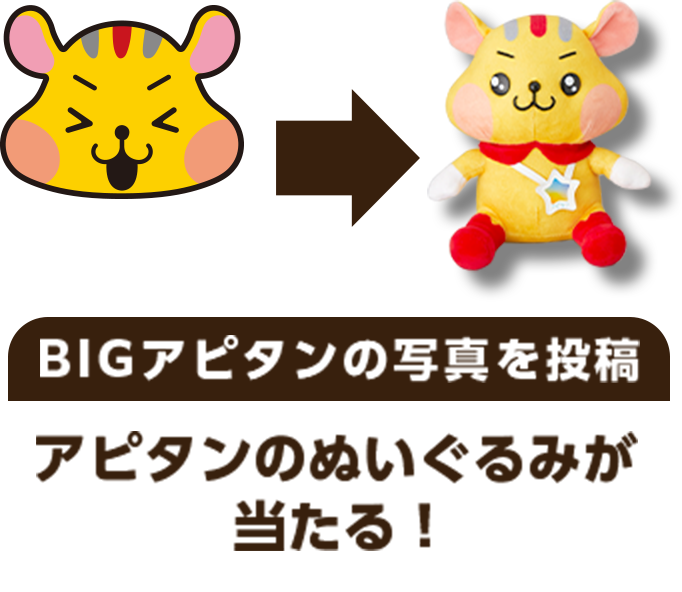 BIGアピタンの写真を投稿 アピタンのぬいぐるみが当たる！