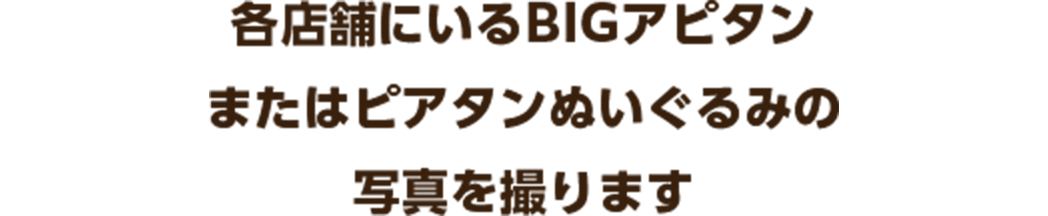 各店舗にいるBIGアピタンまたはピアタンぬいぐるみの写真を撮ります