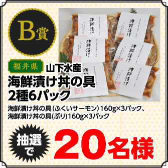 B賞 海鮮漬け丼の具 2種6パック