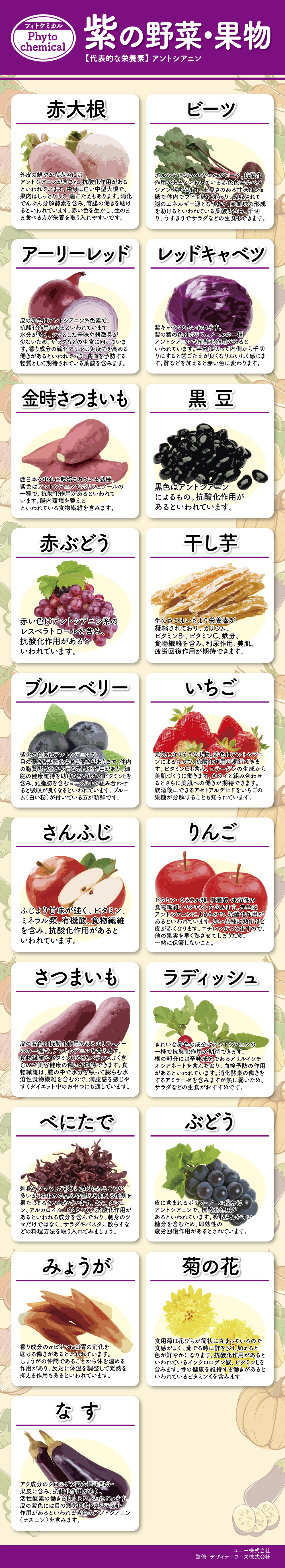 紫の野菜 果物 フィトケミカル