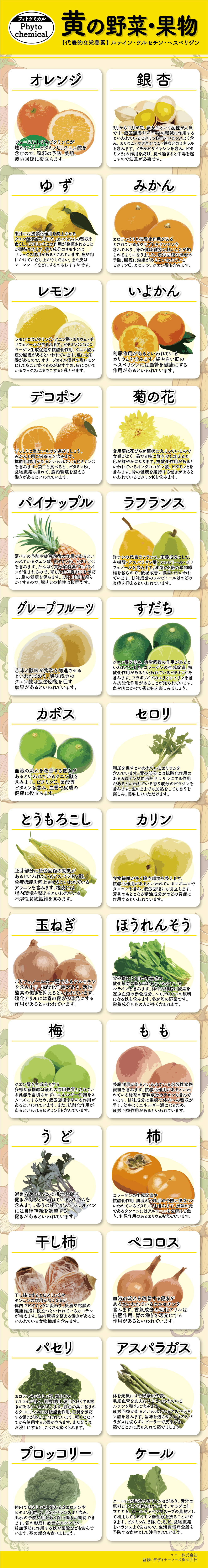 黄の野菜 果物 フィトケミカル